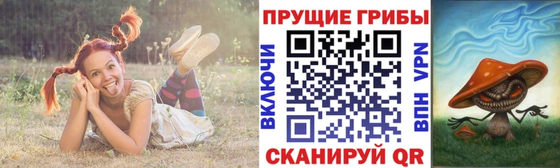 Купить закладки  Еманжелинск  Псилоцибиновые грибы Magic Shrooms 